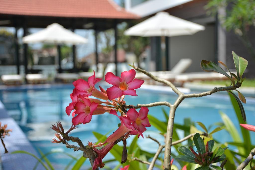 Aquarium Villa Hội An Kültér fotó